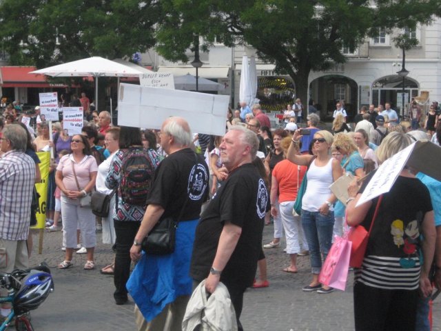 02. Juli 2013 Demo und Stadtratsitzung