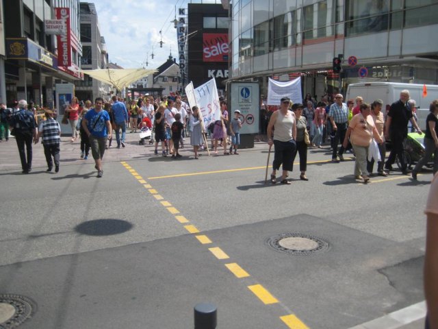 02. Juli 2013 Demo und Stadtratsitzung