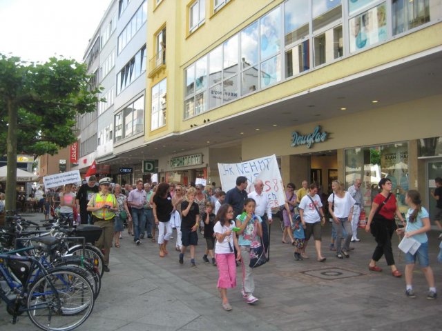 02. Juli 2013 Demo und Stadtratsitzung