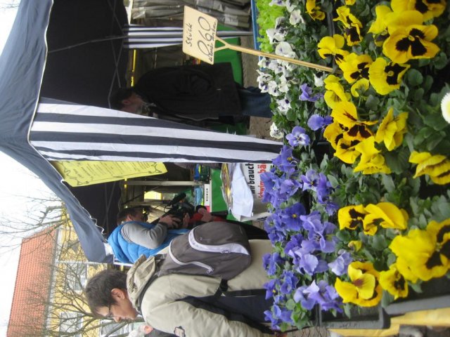 Bäderrettung 2013
