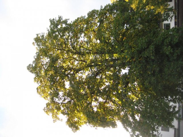 Saisonabschluss 2015