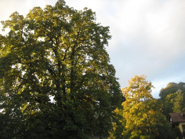 Saisonabschluss 2015